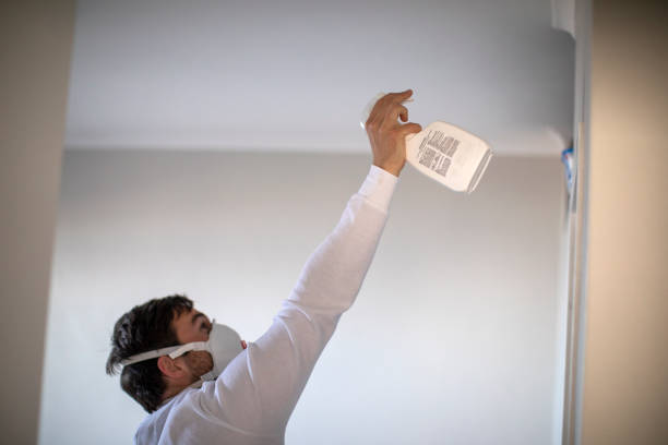 Best Mold Removal Near Me  in Monrovia, IN