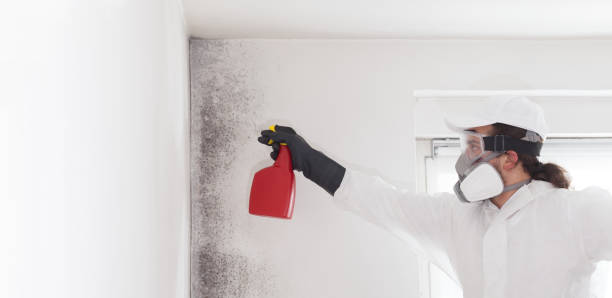 Crawl Space Mold Removal in Monrovia, IN